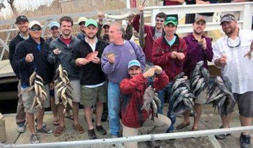 Deep Sea Fishing - Little River Fishing Fleet - Charters 